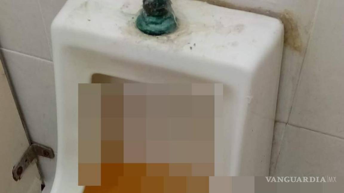 Estudiantes del Tecnológico de Saltillo exhiben baños insalubres (imágenes fuertes)