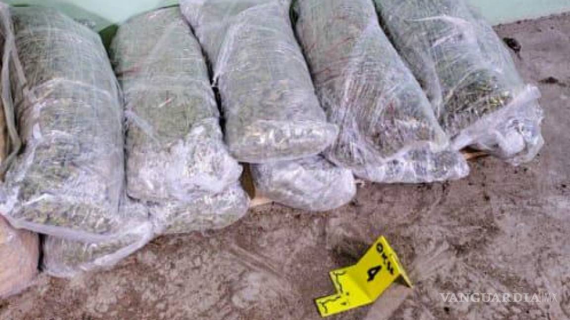 Nuevo León: Incautan más de 260 kilos de droga en cateos a viviendas en Apodaca