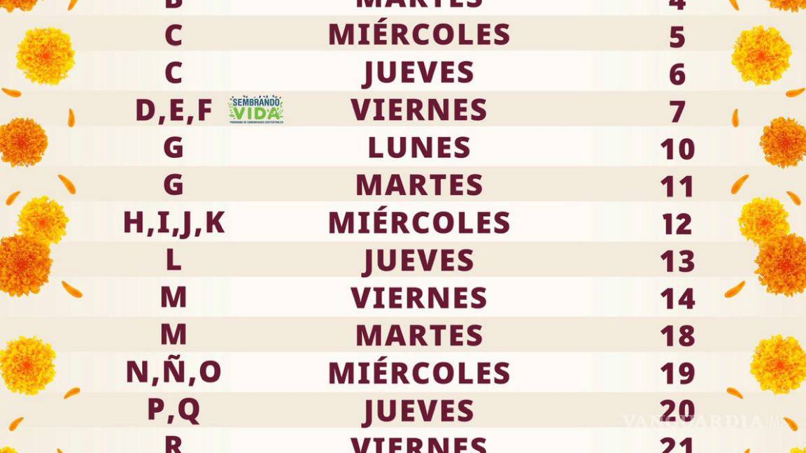 $!Pensión Bienestar: Quiénes reciben el pago de 6,200 pesos del 4 al 8 de noviembre, según el calendario
