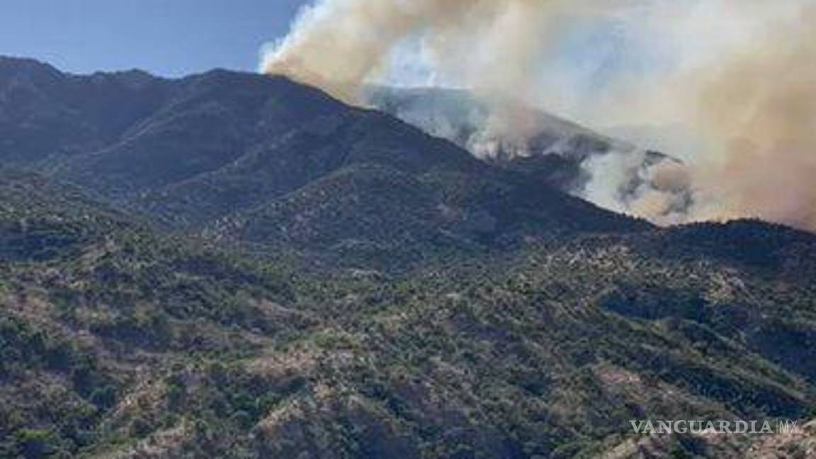 $!Más de 130 elementos del Ejército, de la Guardia Nacional y de la Comisión Nacional Forestal (Conafor), al igual que voluntarios, combaten el fuego