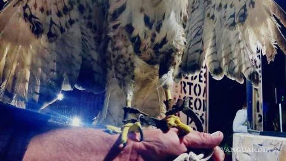 $!Se inició una carpeta de investigación por el delito de maltrato animal y tráfico.