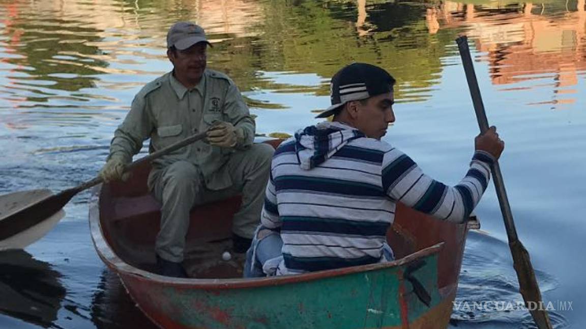 Caimán lleva suelto un mes en el Campestre de Torreón