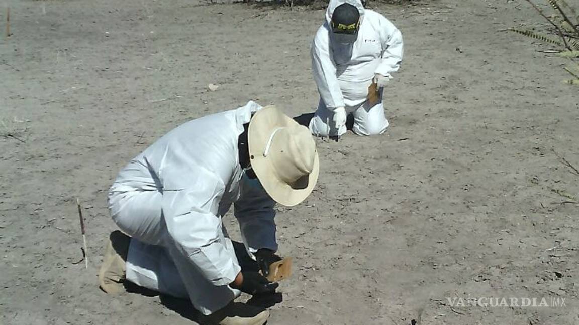 $!Molesto Grupo Vida, porque Coahuila retrasa búsqueda de restos