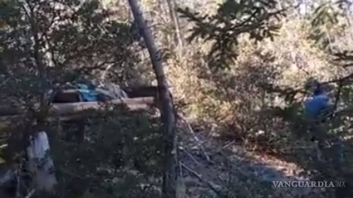 Investigan si tala en serranía de Arteaga es ilegal por un video de un hombre guiando a dos burros con troncos
