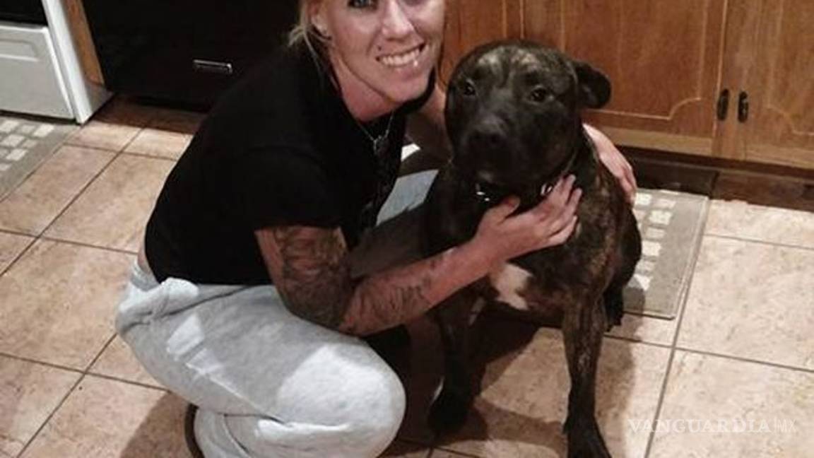 $!Una mujer fue devorada por sus perros, cuando los paseaba en un bosque