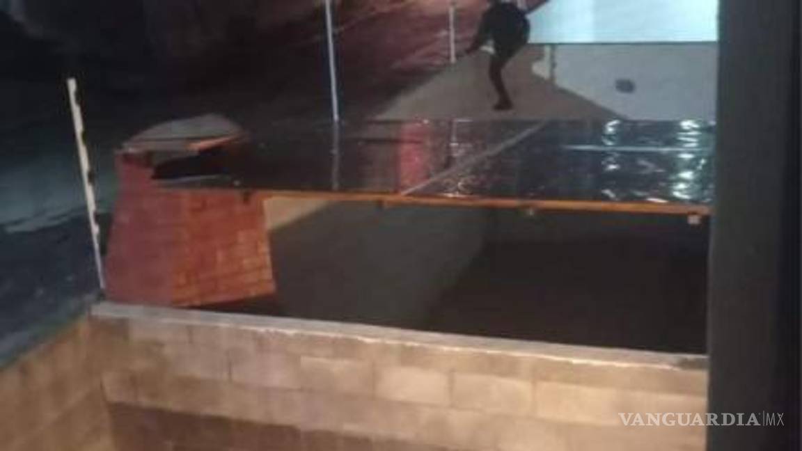 $!Se les ha visto brincar a las viviendas.