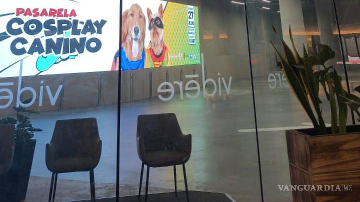 $!Las cervezas galardonadas fueron la red lager Pinot, que recibió medalla de oro, y la Maguey Ale, reconocida con bronce.