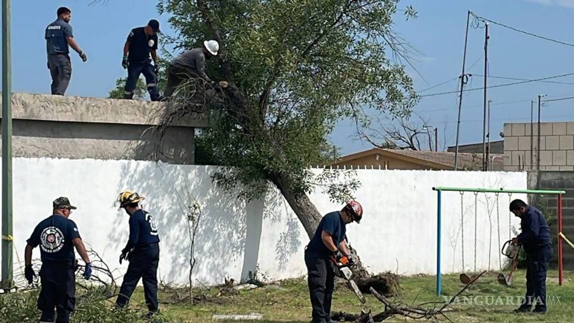 $!Personal de Protección Civil evalúa los daños causados por árboles caídos.
