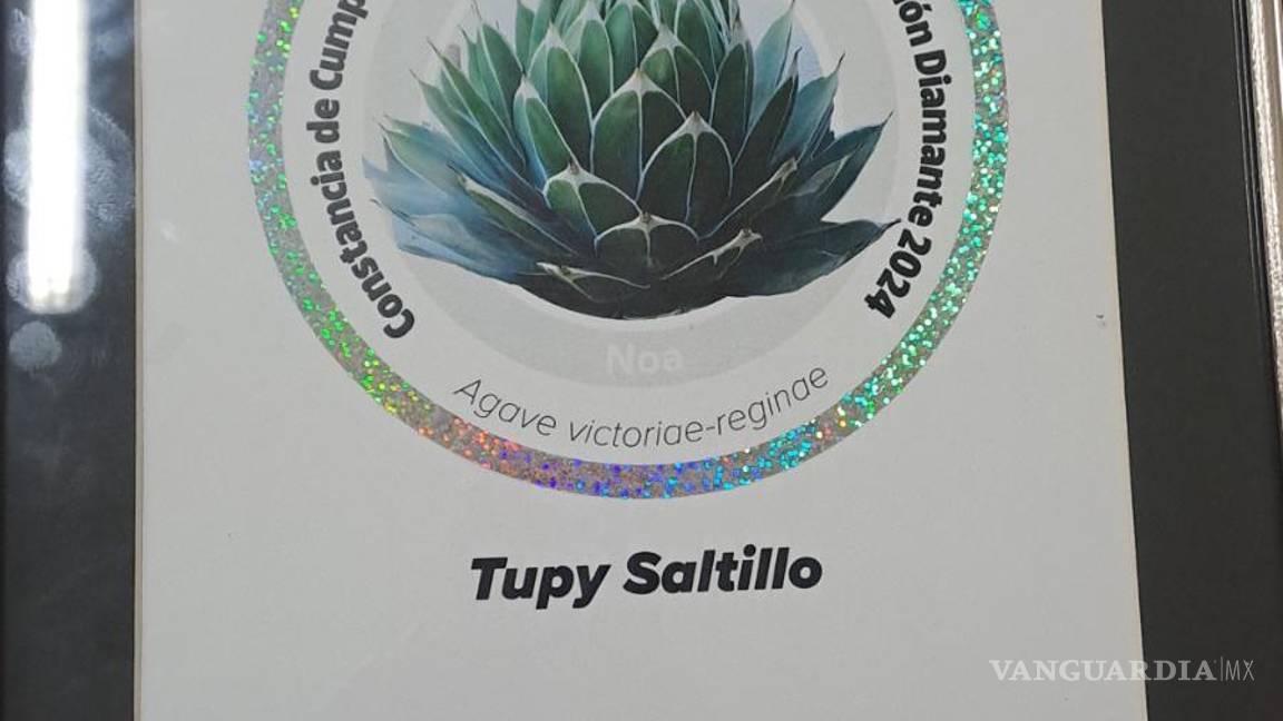 $!La planta Saltillo de TUPY fue reconocida con el Nivel Diamante.
