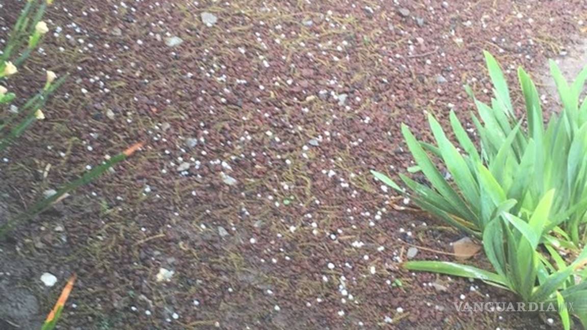 $!Sorprende a saltillenses granizada al norte de la ciudad