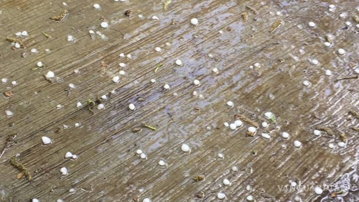 $!Sorprende a saltillenses granizada al norte de la ciudad
