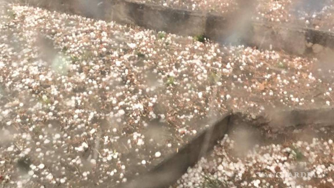 $!Sorprende fuerte granizada en algunas zonas de Saltillo