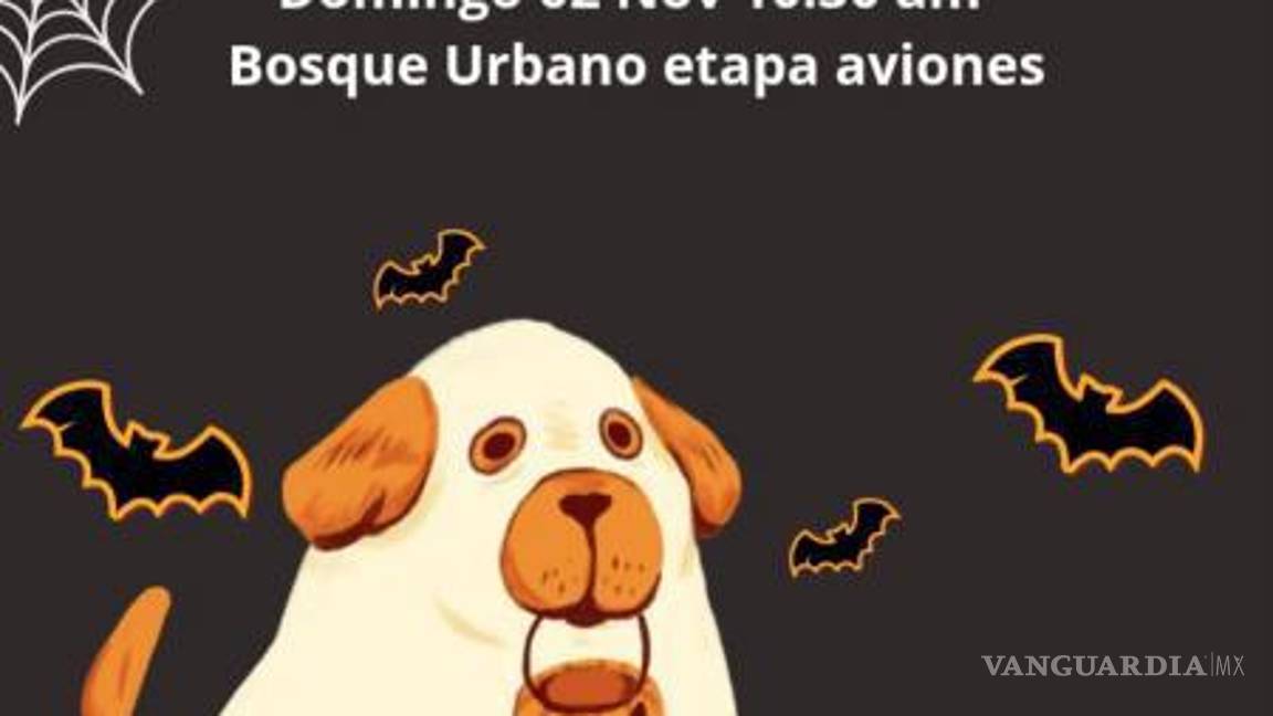 $!Saltillo: Fundación Patitas al Rescate invita a disfrutar teatro y desfile de mascotas con causa