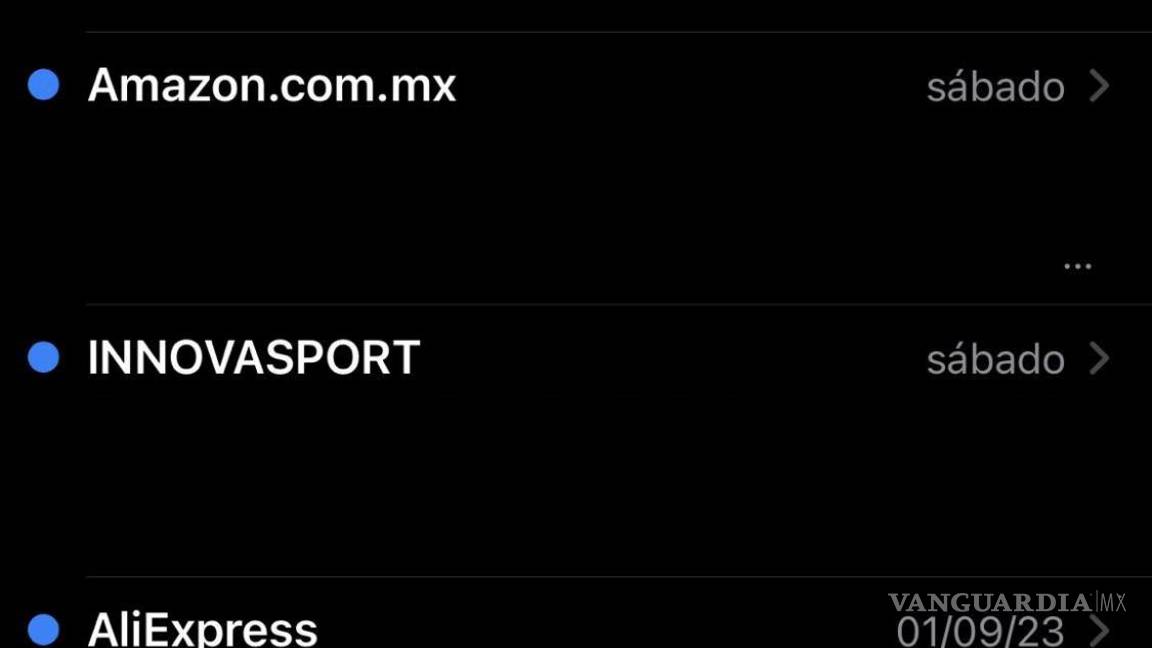 $!Los correos electrónicos se muestran con el nombre de la empresa tal cual lo tienen en su sitio