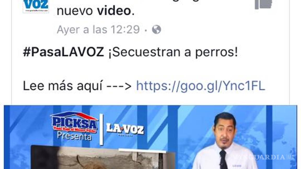 $!Familia se deshace de los perros Shih Tzu que tenían "secuestrados" en Frontera