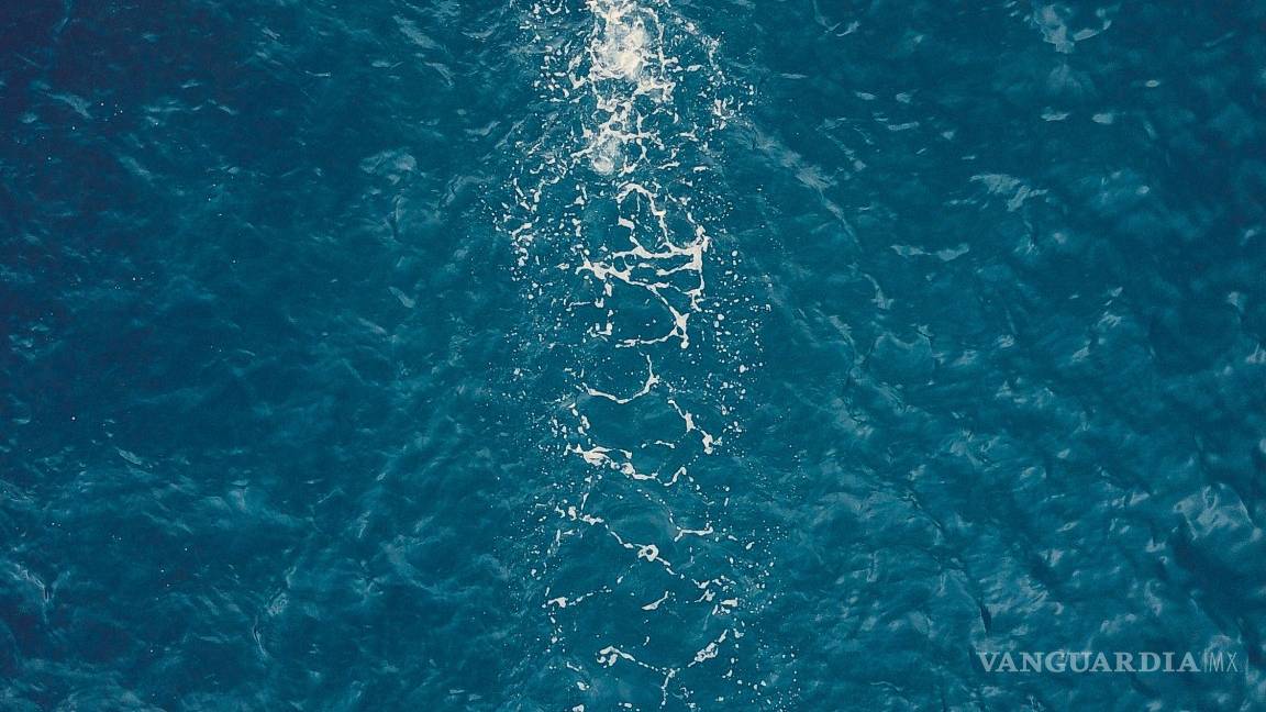 $!Día Mundial de los Océanos, ¿cómo podemos salvarlos desde nuestras casas?