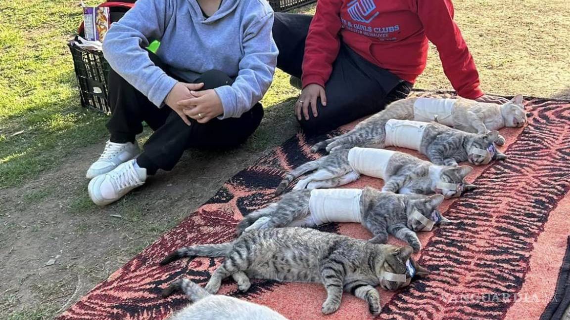 $!La asociación establece requisitos para asegurar el éxito y bienestar de las mascotas participantes.