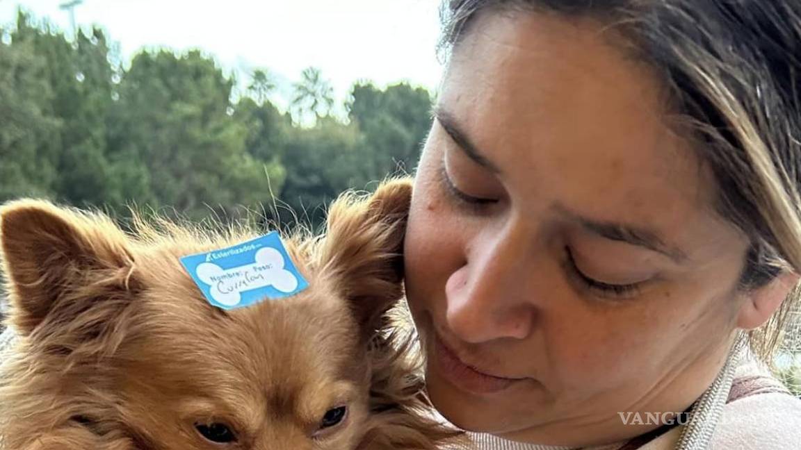 $!Dueños y mascotas se han unido a la esterilización, demostrando su compromiso con el bienestar animal