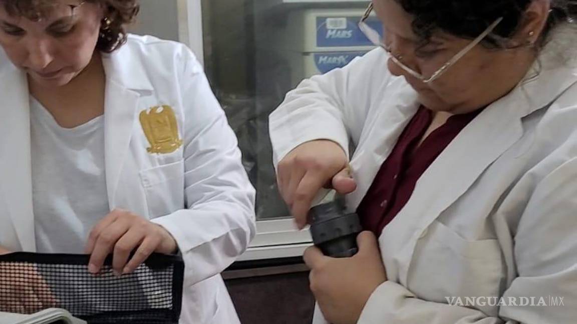 $!Con este ejercicio, las especialistas buscan aportar información que sirva para generar políticas públicas.