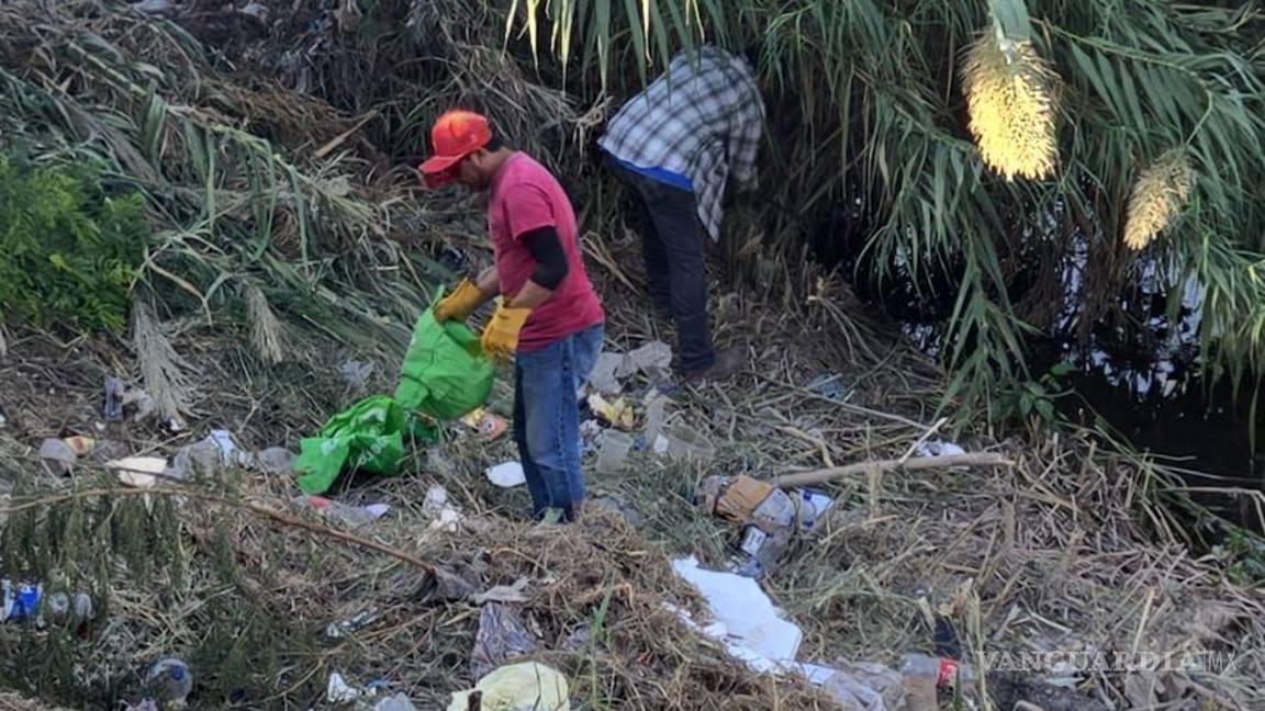 $!La acumulación de maleza y desechos era tan densa que impedía ver los costados del arroyo.