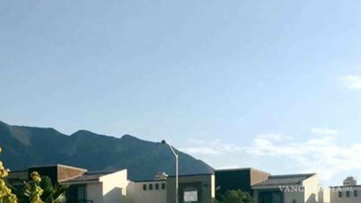 $!Tigre "suelto" causa polémica en Saltillo... era de peluche