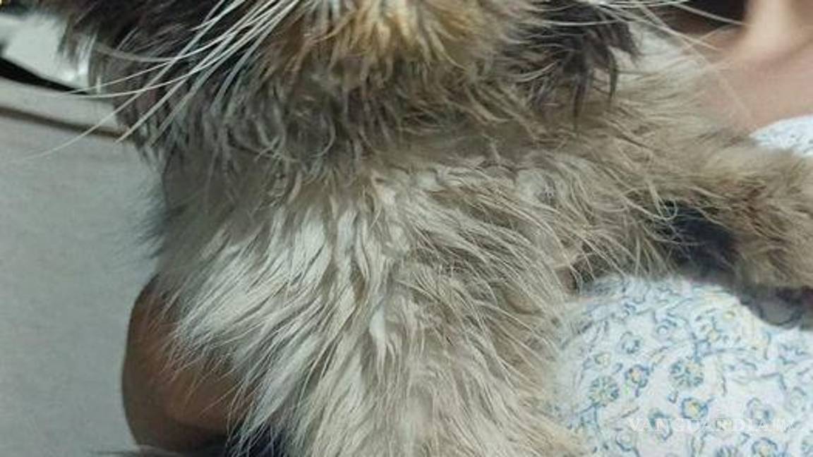 $!Parece Bruno pedir que no tomen mucho en cuenta las condiciones en las que volvió, y que mejor celebren que ya llegó.