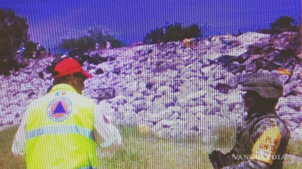 $!Volverá a correr agua por el lecho del río Nazas