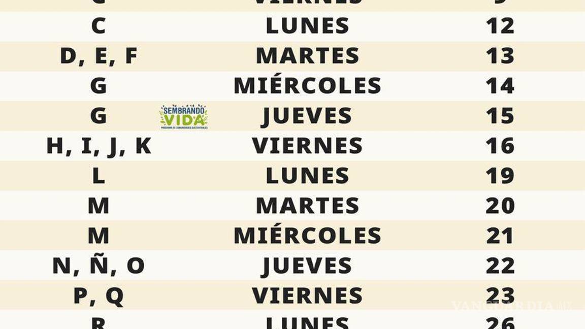 $!¿Por qué se retrasaron los pagos de la Pensión del Bienestar del bimestre mayo-junio? Ariadna Montiel responde