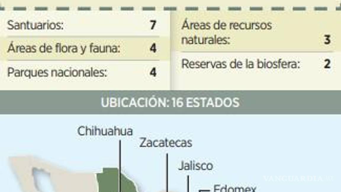 $!Paga sector industrial 10.25% más cara la energía eléctrica durante 2023