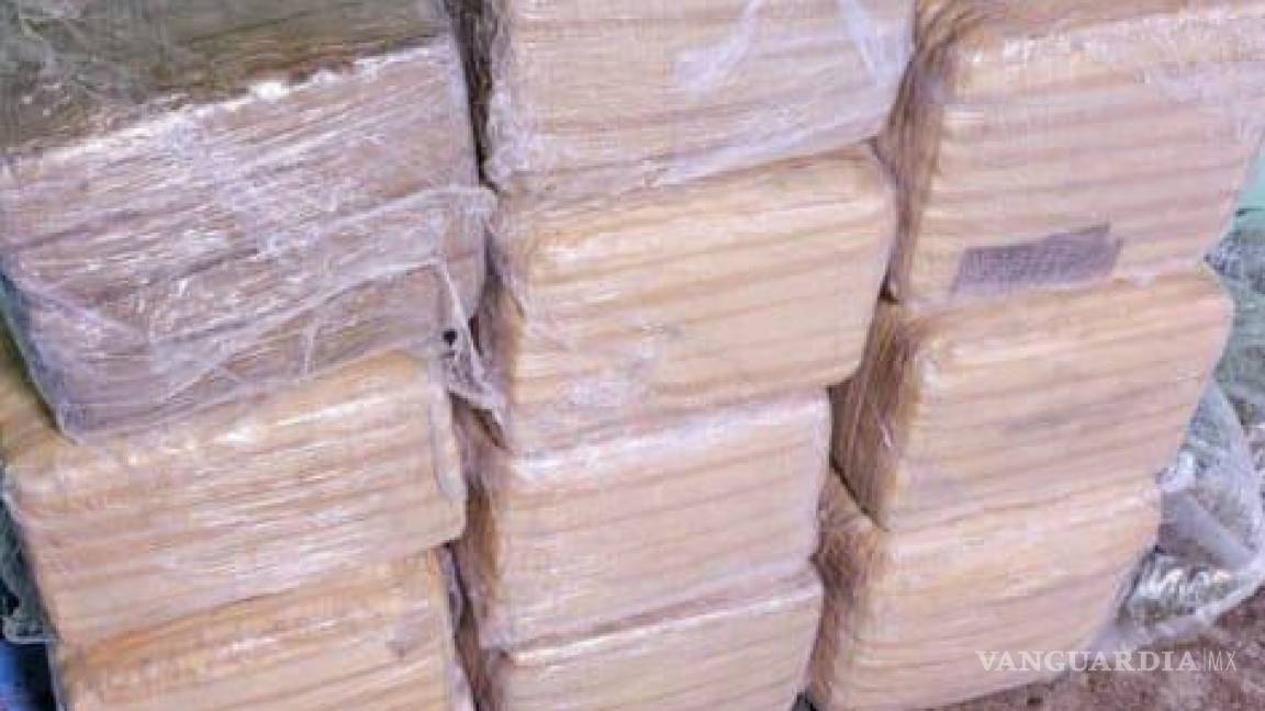 Nuevo León: Incautan más de 260 kilos de droga en cateos a viviendas en Apodaca