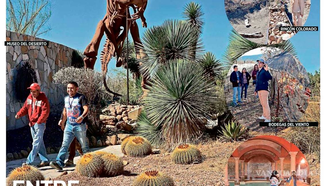 $!Destacan a nivel nacional ruta Vinos y Dinos de Coahuila