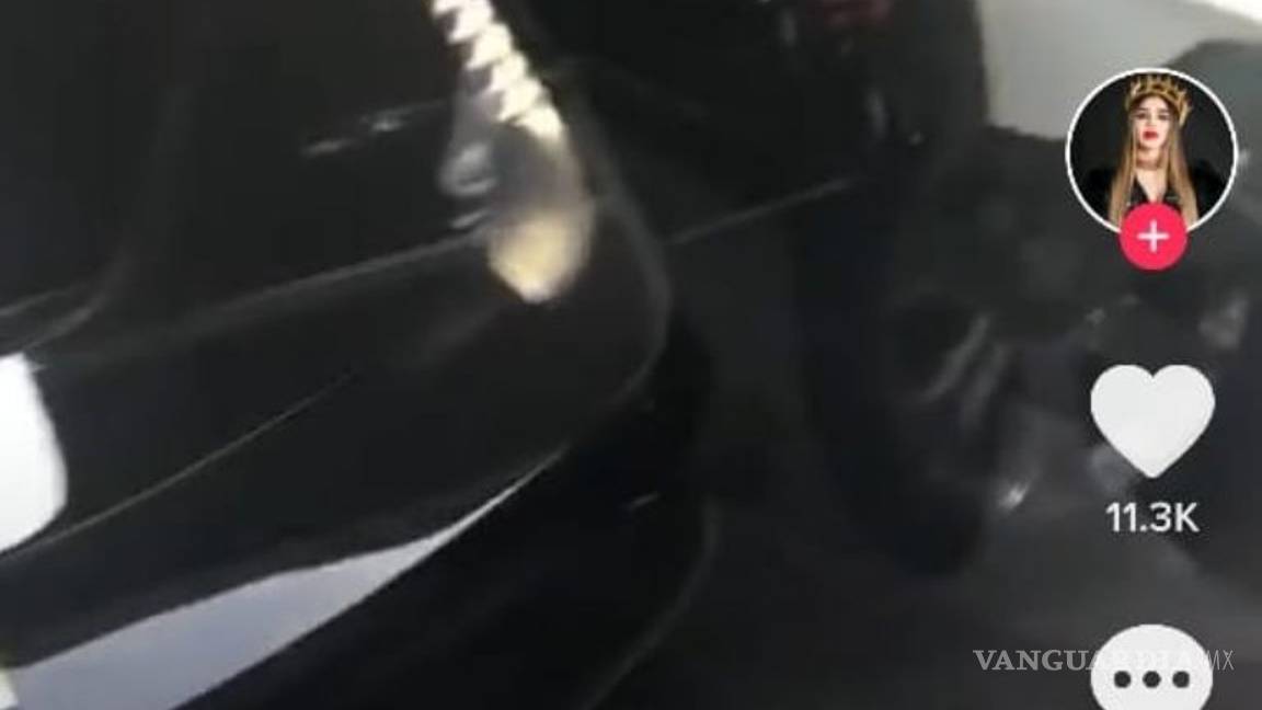 $!Emma Coronel exhibe en Tik Tok lujos y abundancia que le dejó "El Chapo" Guzmán