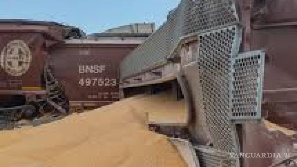 Descarrila tren cargado con maíz en Nava; investigan las causas