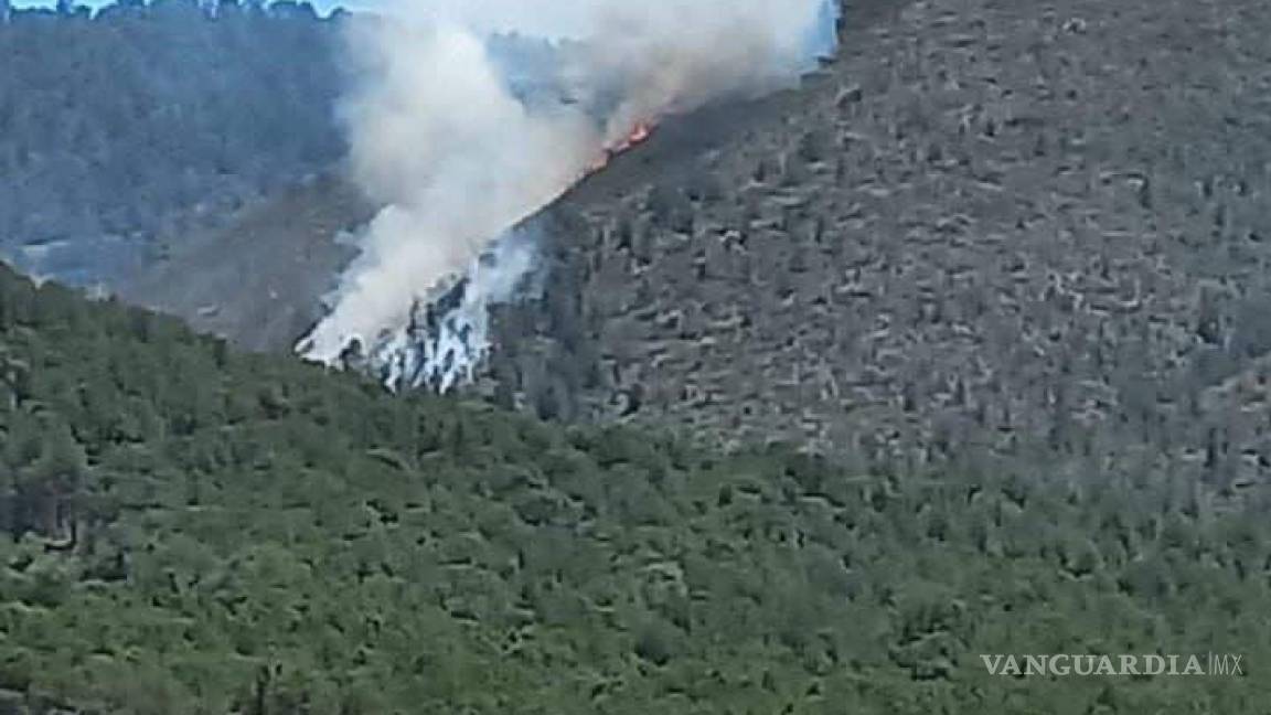 Otro incendio más en Arteaga; ahora es en la Carbonera