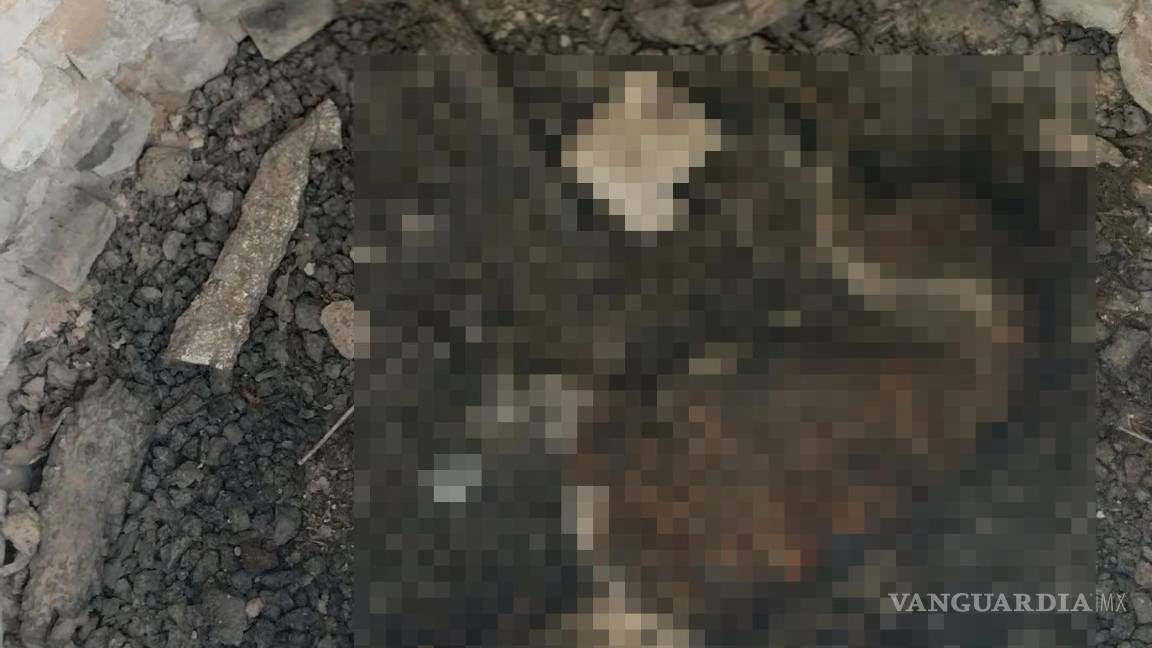 $!Vecinos y activistas exigen justicia para “Roco” y sanciones contra la crueldad animal.