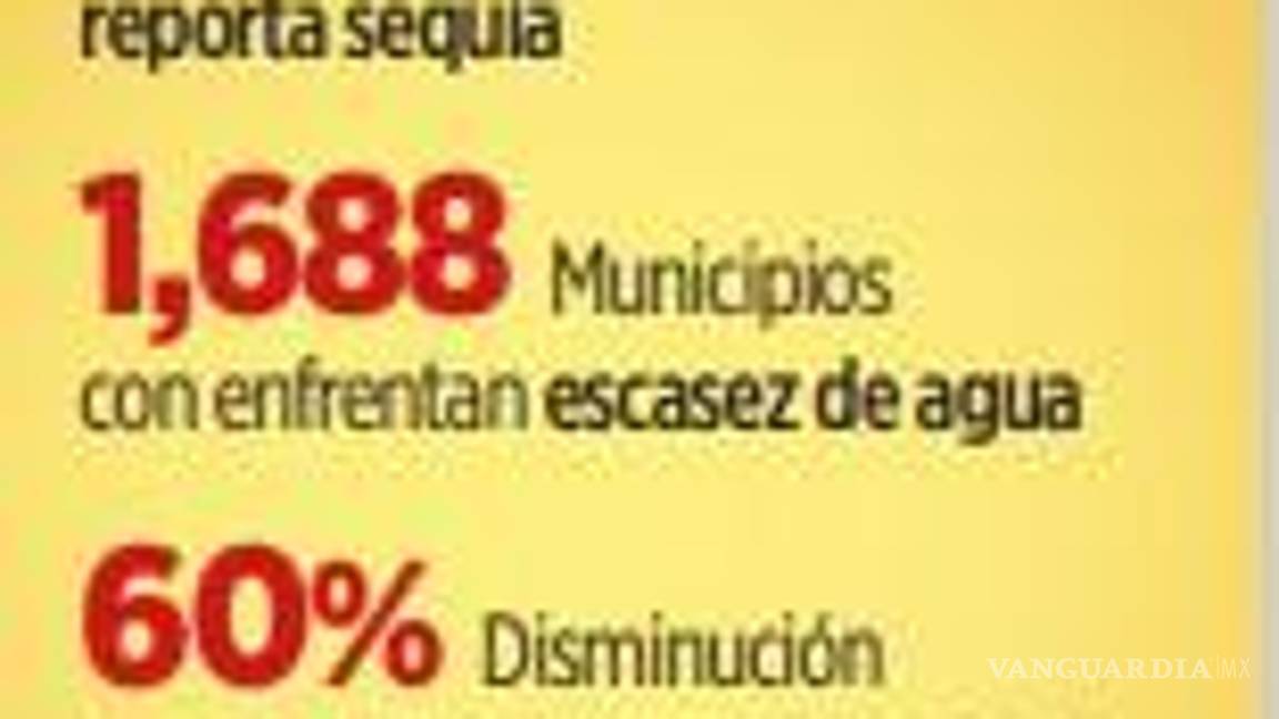 $!Bajan 50% cosechas por falta de lluvias y ausencia de políticas públicas