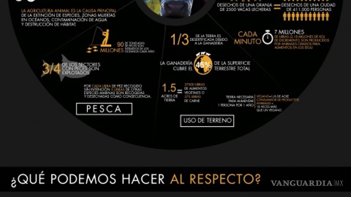 $!Dejar la carne y los lácteos, la mejor forma de ayudar al planeta