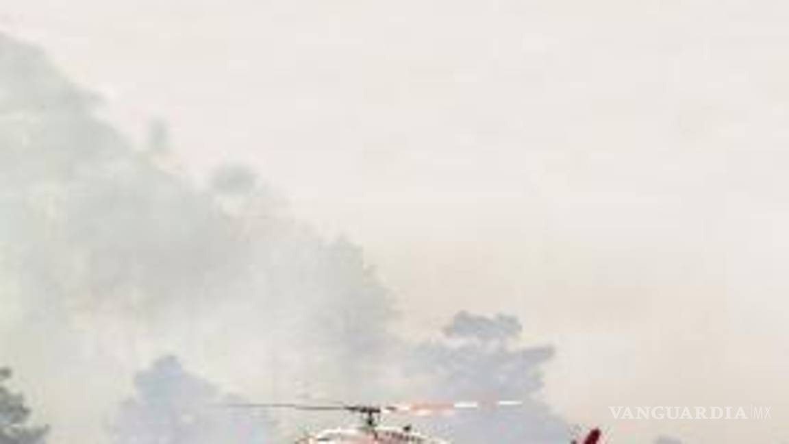 $!Catástrofe. El incendio de la Sierra de Arteaga, en 2021, acumuló un aproximado de 12 mil hectáreas de bosque afectadas en los estados de Coahuila y Nuevo León.