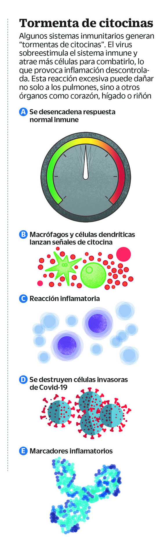 $!¿Cómo destruye al cuerpo el COVID-19? Sistema inmunológico al ataque