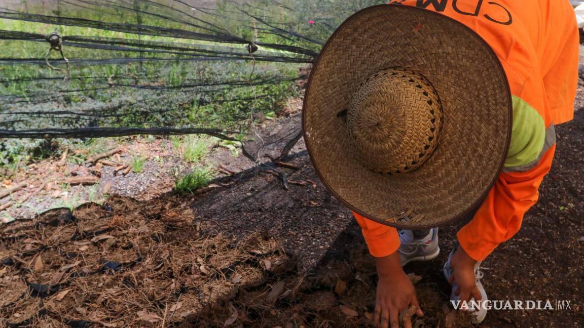 En Coahuila, más de 10 mil productores recibirán pagos pendientes