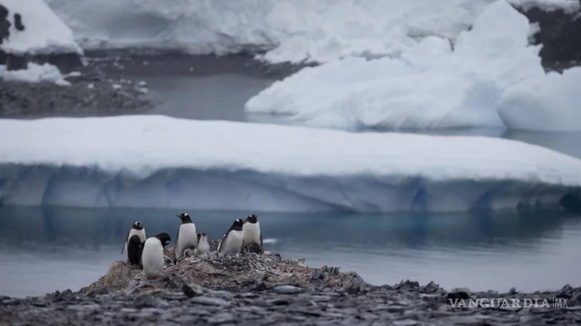 Proteger la Antártida es preservar el futuro de La Tierra
