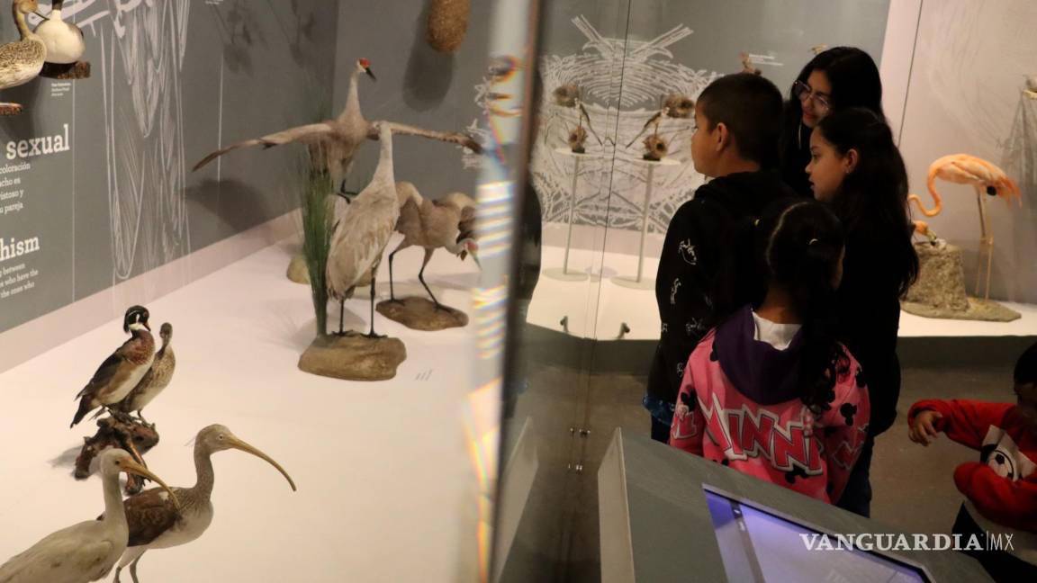 $!Visitantes en el Museo de las Aves.