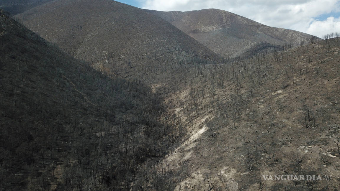 Apoyaron 170 brigadistas en el combate al incendio