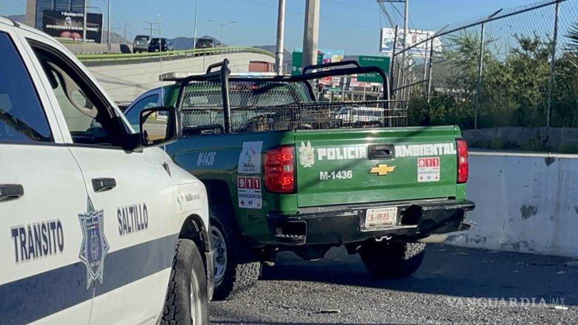$!Tras ser asegurado, el perro fue trasladado a las instalaciones de Control Canino donde se le realizará una revisión de salud.