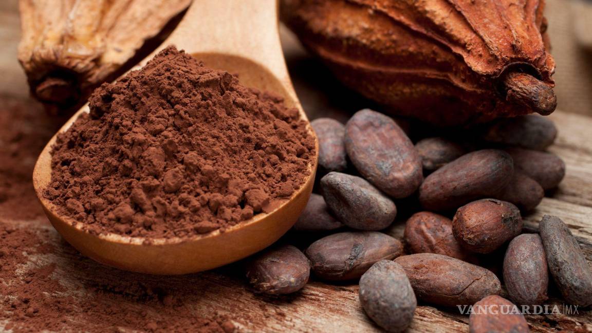 $!El grano de cacao encuentra las condiciones favorables para su desarrollo en el sur de México.