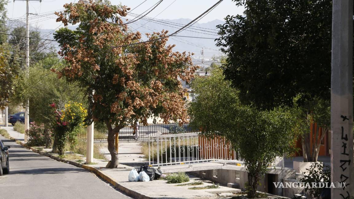 $!Puente de Gómez Farías, lugar donde habría ocurrido el asesinato de la Delgadina.