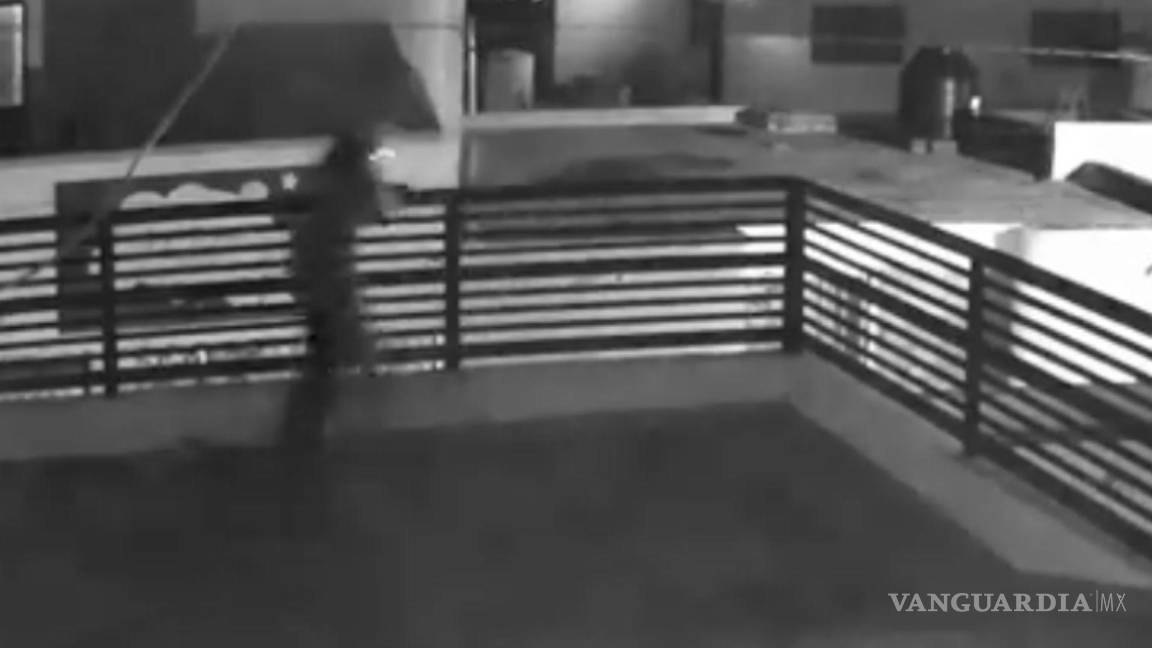 Saltillo: perros asustan a presunto ladrón y se arroja desde una terraza (video)