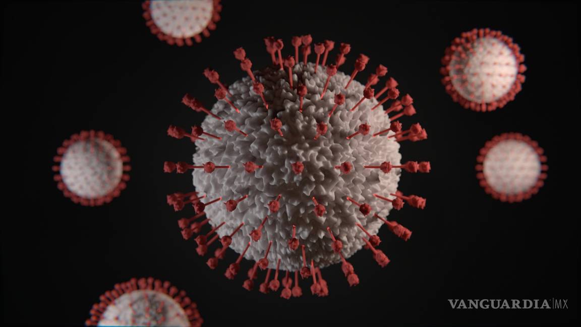 Investigadores encuentran pruebas de que el coronavirus es un híbrido de otros dos virus diferentes