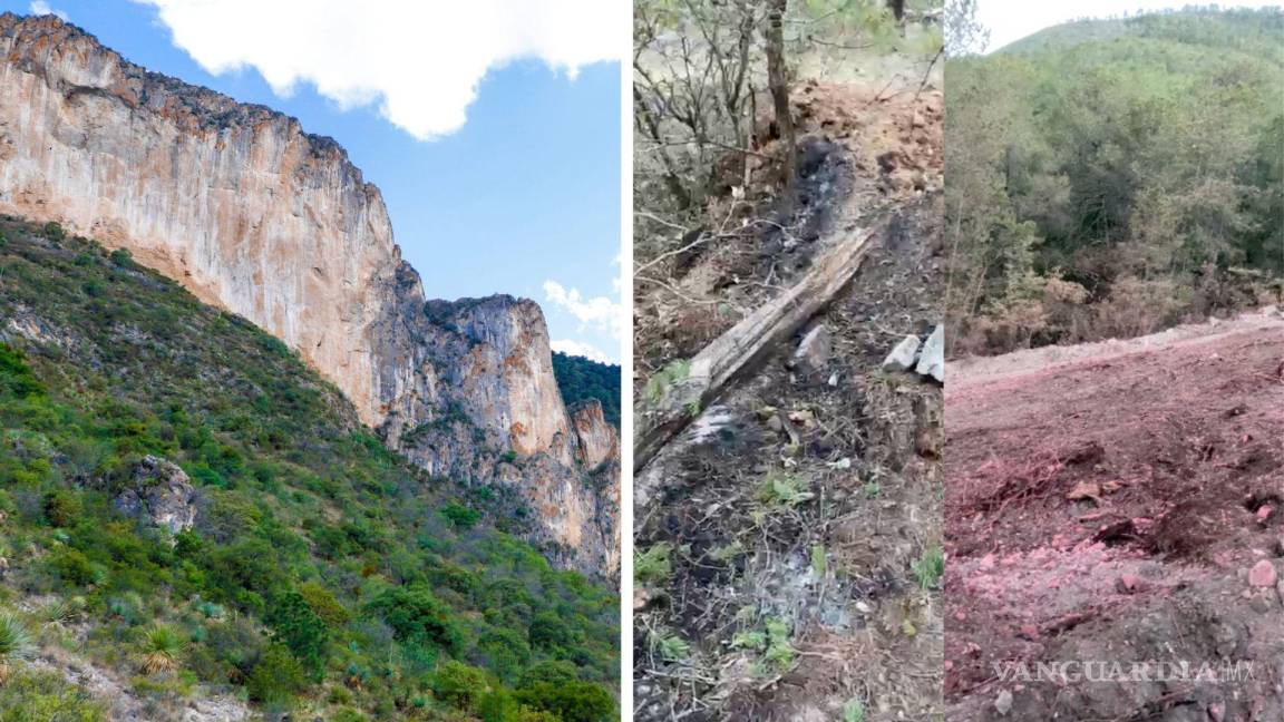 VIDEO: El antes y después del incendio en la Sierra de Zapalinamé