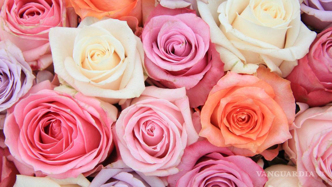 $!Día de San Valentín: Qué significan los colores y el tipo de las flores para regalar el 14 de febrero